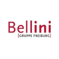 Bellini Gruppe Freiburg