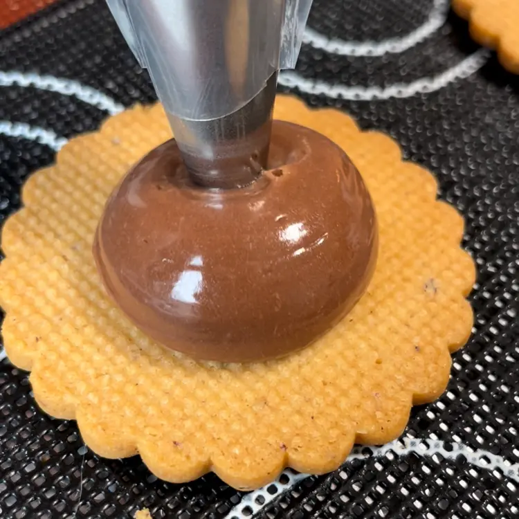 creation thumb for Chocolate biscuit 🍫