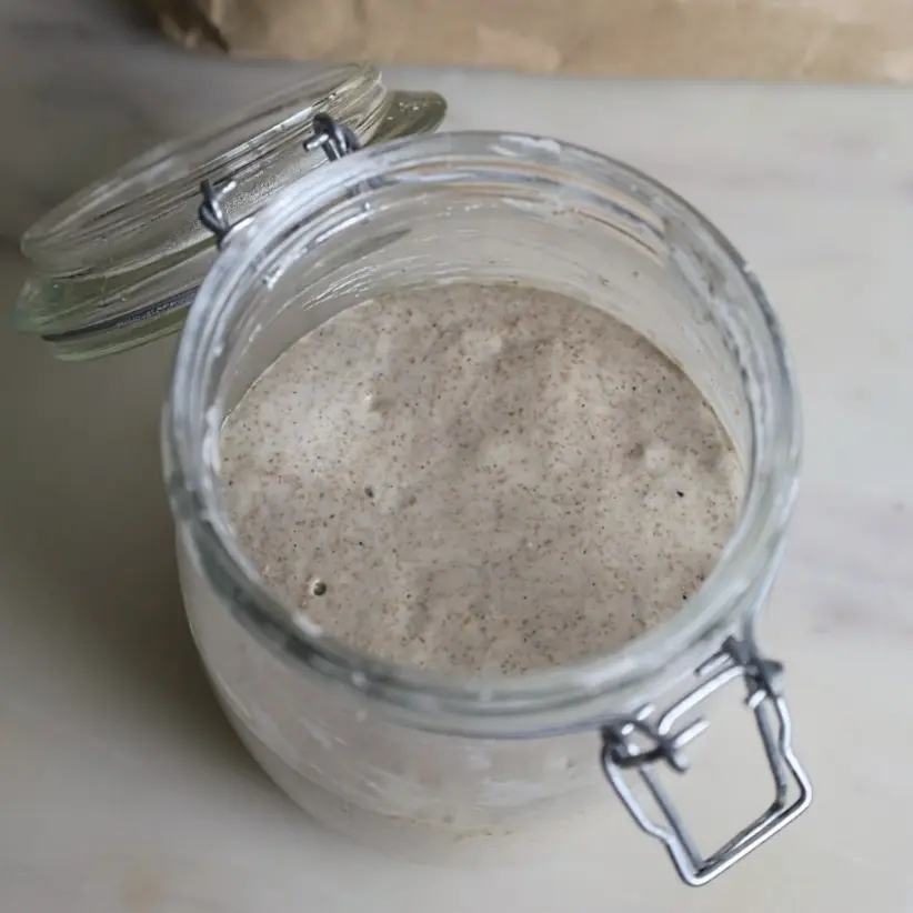 creation thumb for Sourdough starter