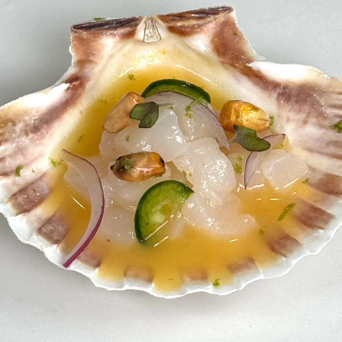creation thumb for SCALLOP CEVICHE WITH PASSION FRUIT TIGER'S MILK