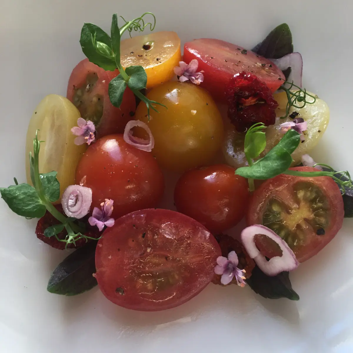 creation thumb for Tomate^3 Tomato Market, harvest tomatoes, get tomatoes. (with tomato consommé and mozzarella)