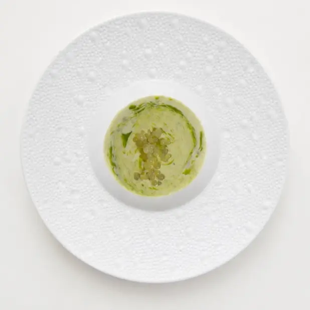 creation thumb for Cream Sauce with Herb Oil