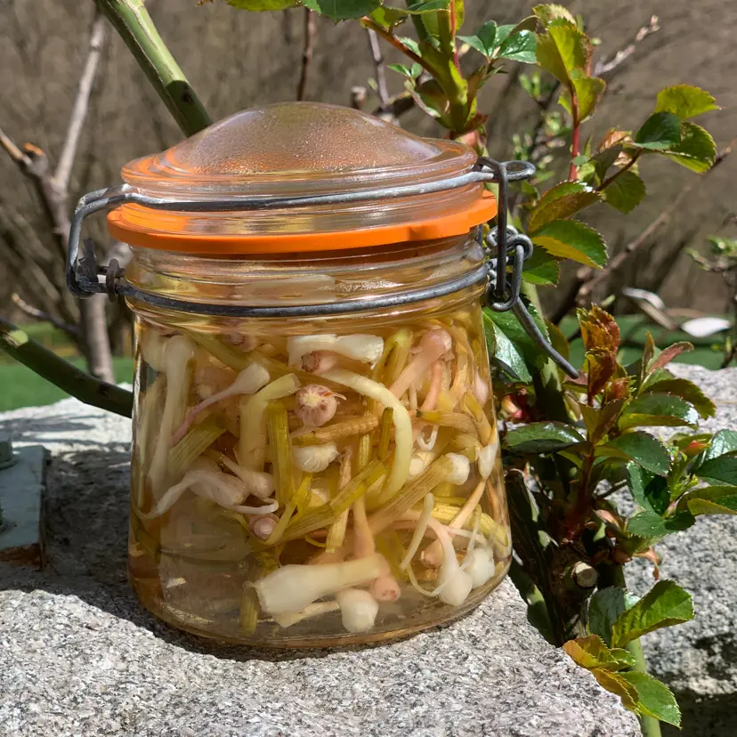 creation thumb for Eingelegter Kräuterknoblauch 🧄👩‍🍳