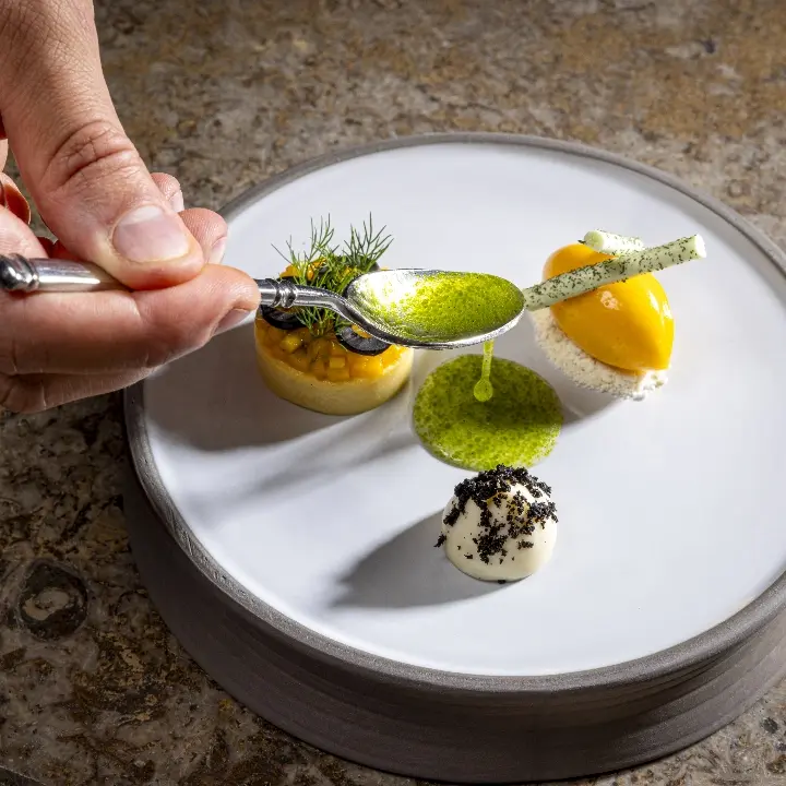 creation thumb for Mango l Planifolia Black l Olive l Lime l Dill