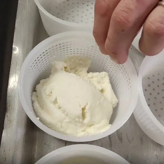 creation thumb for Ricotta Cheese