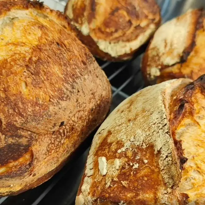 creation thumb for Sourdough Bread