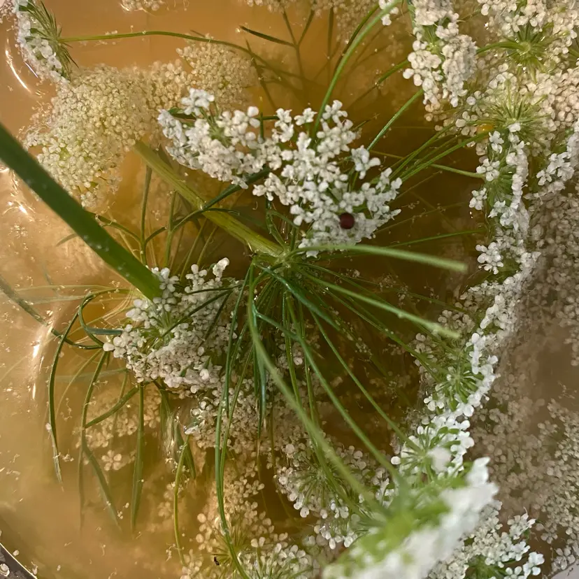 creation thumb for Pickled flowers