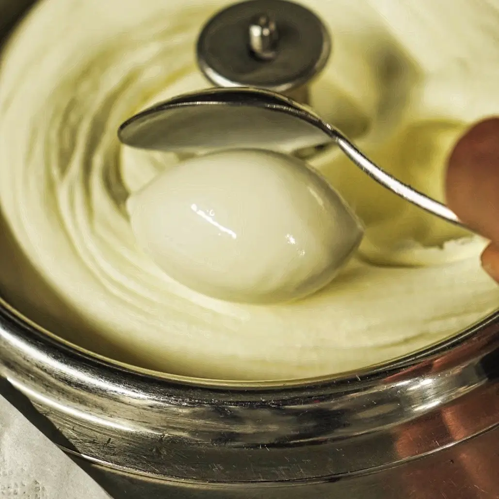 creation thumb for Greek yogurt ice cream