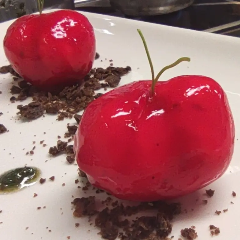 creation thumb for TRAMPANTOJO DE TOMATE ( Basque Culinary Center )