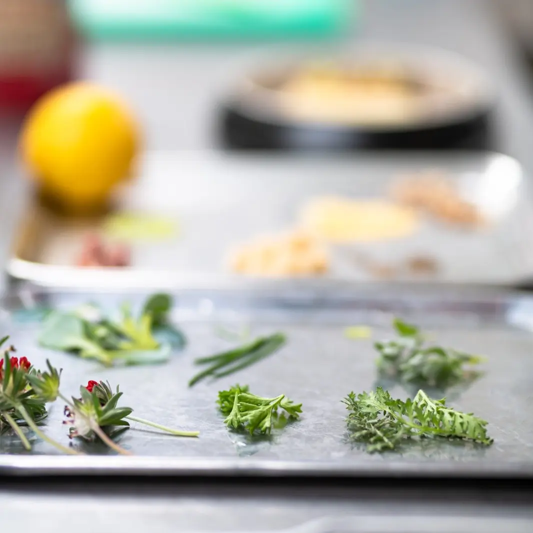 creation thumb for Kreeft met koriander Vinaigrette 