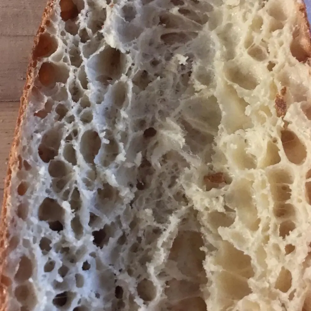 creation thumb for Baguette made with poolish