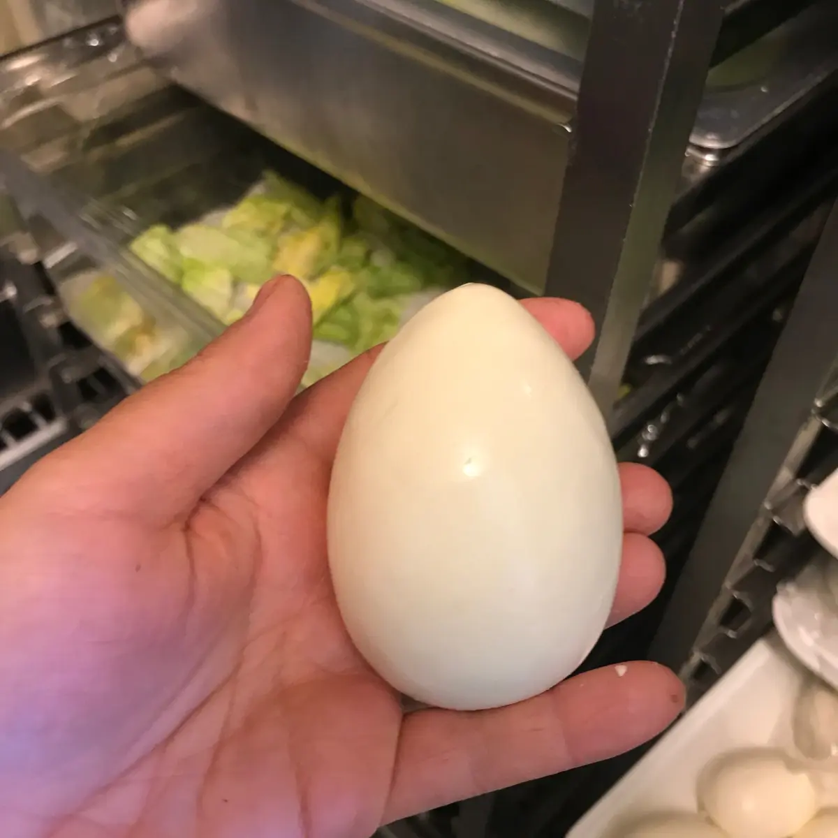 creation thumb for Easter egg?
