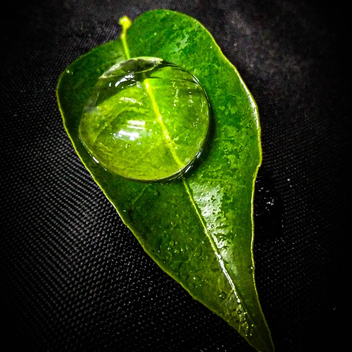 creation thumb for Drop Of Water