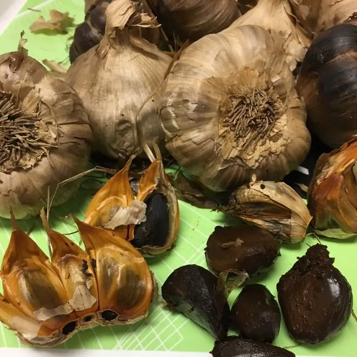 creation thumb for Fermentierter Knoblauch im Reiskocher herstellen.   - Mein  Selbstversuch 