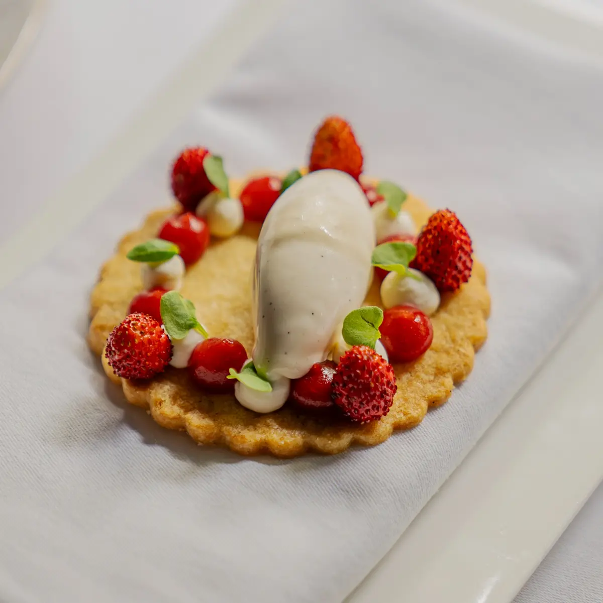 creation thumb for Tonkabohnen-Eiscreme und Olivenöl-Shortbread