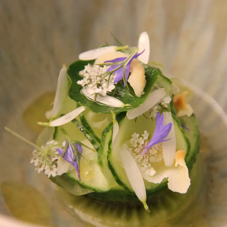 creation thumb for Cucumber - Kiwi - Tonic