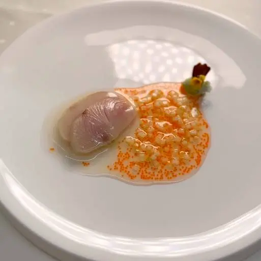 creation thumb for Hamachi with honeydew melon jelly, apple, celery & tobiko