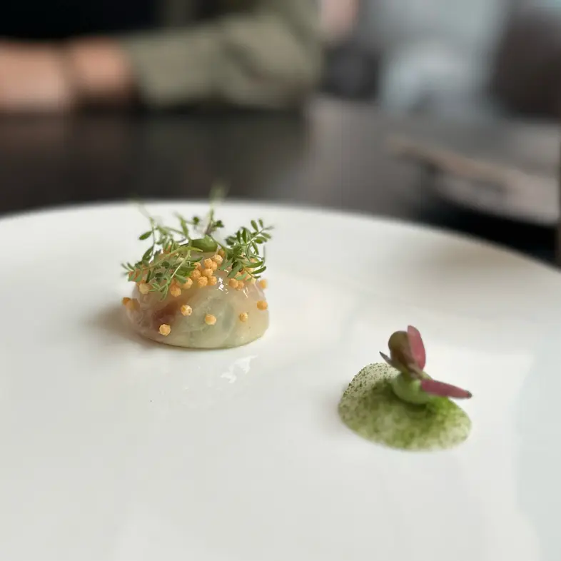 creation thumb for Pike perch with pearl barley salad and wasabi