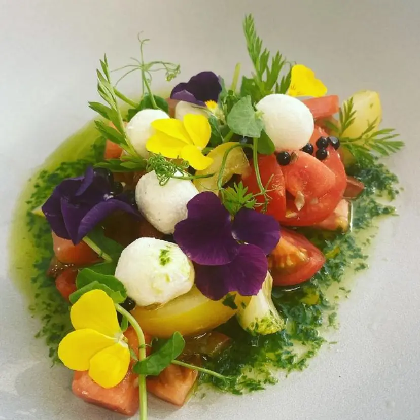 creation thumb for Bunte Tomaten / Ricotta / Wassermelone 