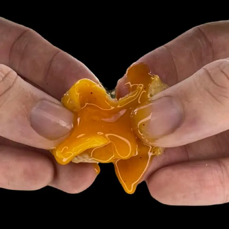 creation thumb for Liquid yolk and fried egg white