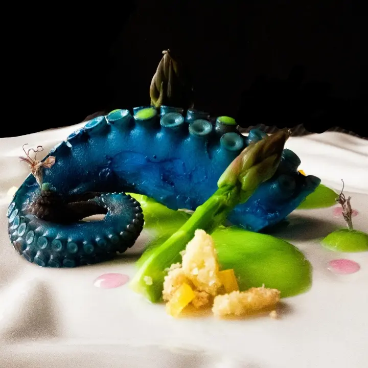 creation thumb for Blauer Oktopus und Spargel. 🐙
