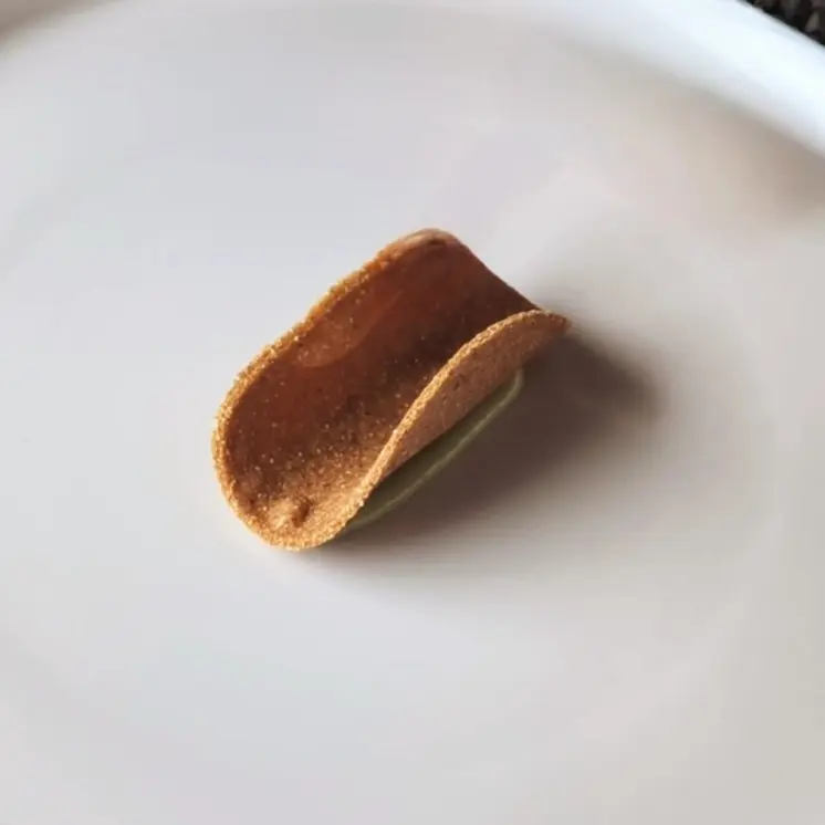 creation thumb for Whole Wheat Taco Shell🌽