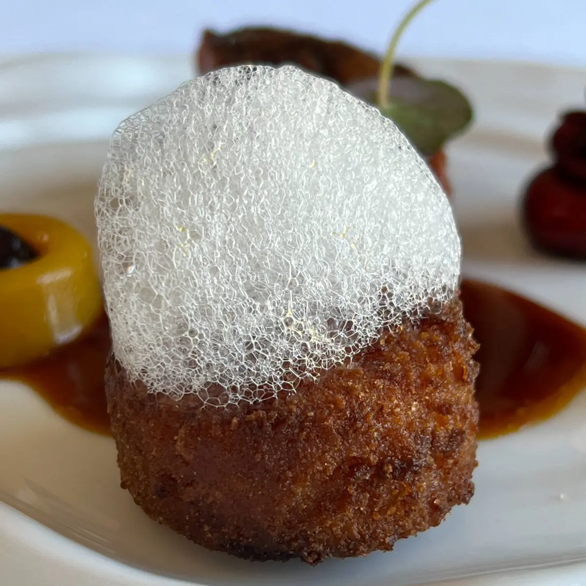 creation thumb for Fried Duck Rice Ball 