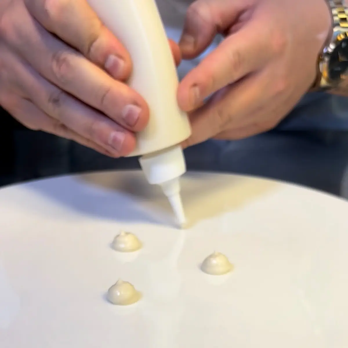 creation thumb for Halzenut Mayonnaise