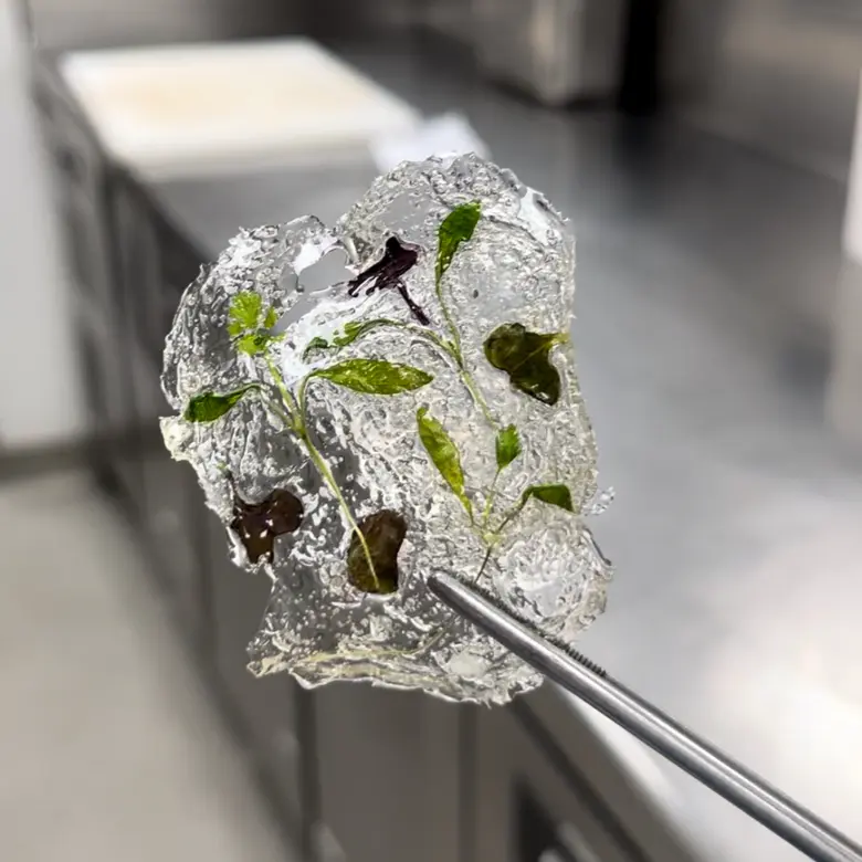 creation thumb for Vitried tapioca chips 