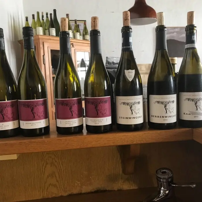 creation thumb for Pinot reise bei Friedrich Becker Pfalz