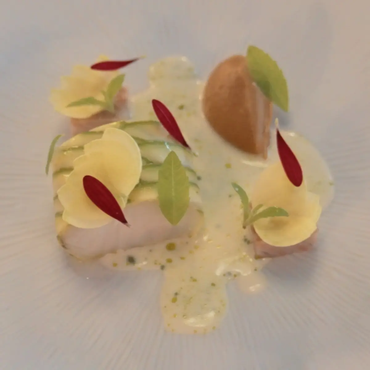creation thumb for Cod covered in Courgette