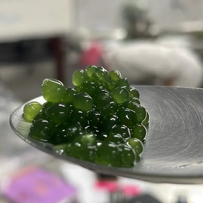 creation thumb for Seaweed Spheres