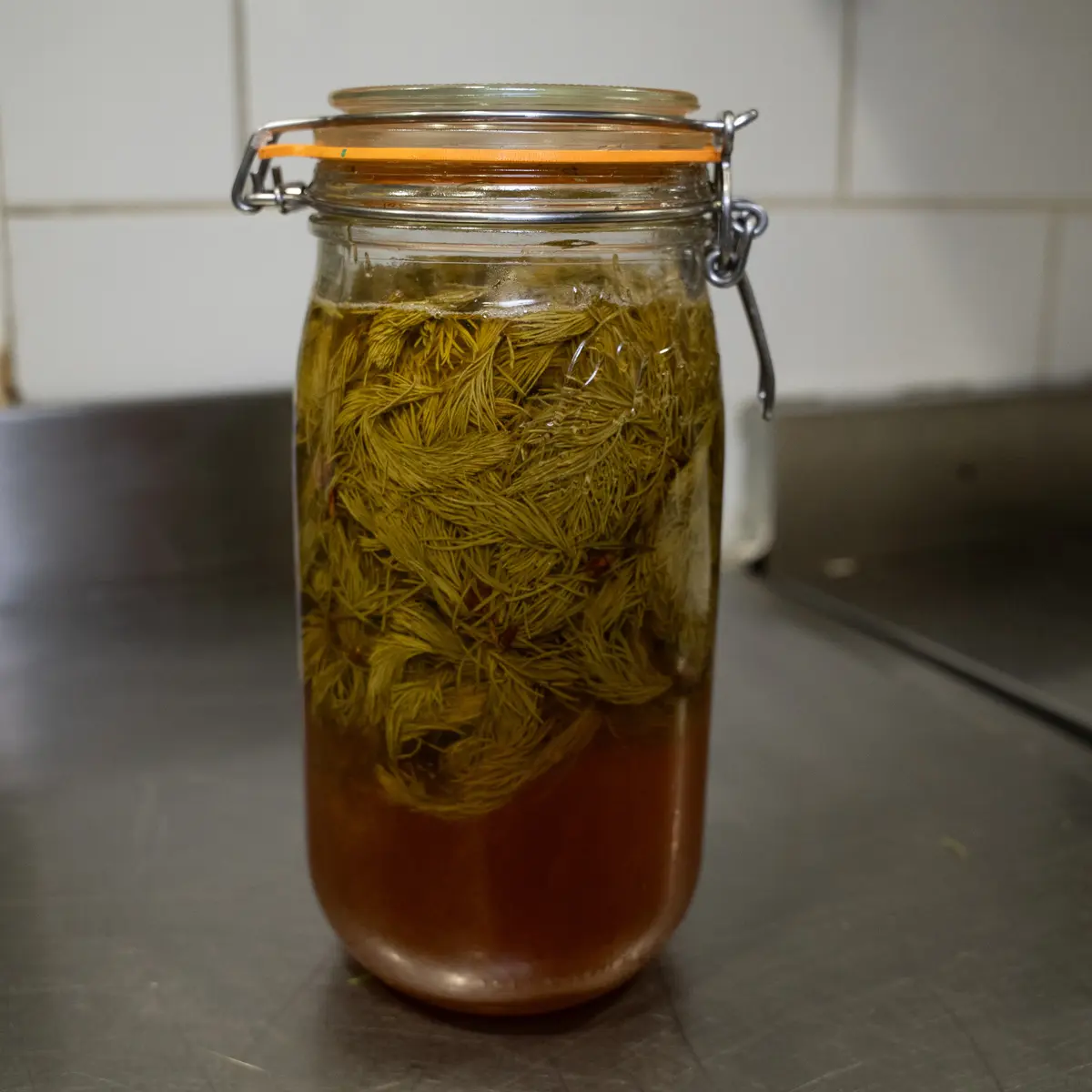 creation thumb for Fermentazione di Miele e Foglie di Abete
