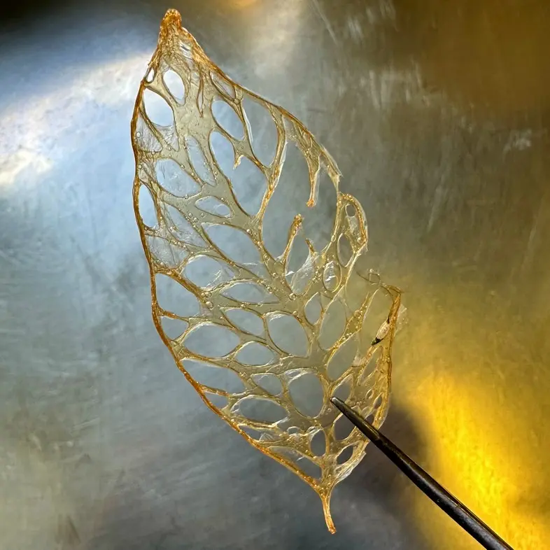 creation thumb for Tomato Water Tuile