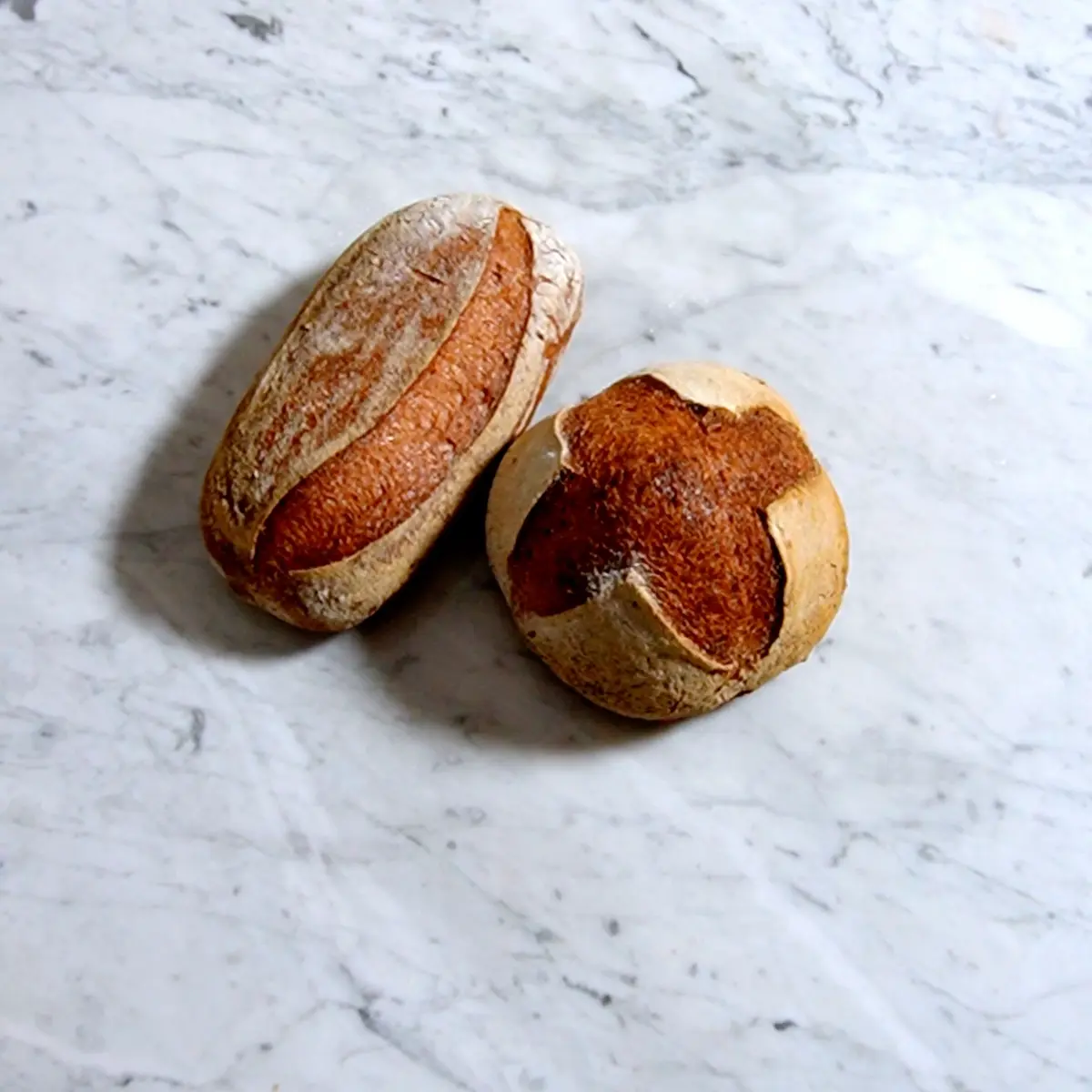 creation thumb for Gluten-Free Sourdough Bread 2.0
