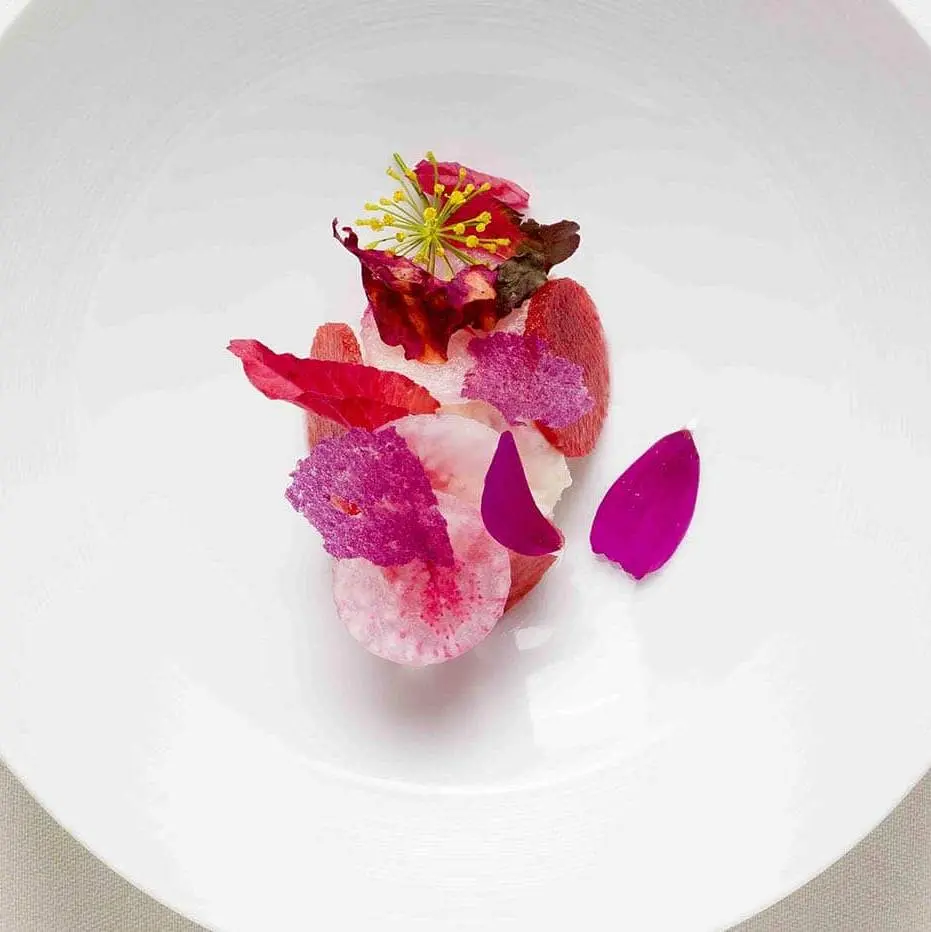 creation thumb for "Goat cheese & smoked fera" tarama with radish