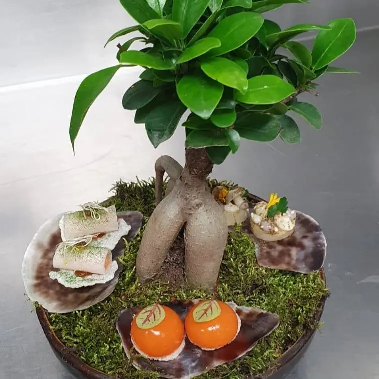 creation thumb for Vegan Snack