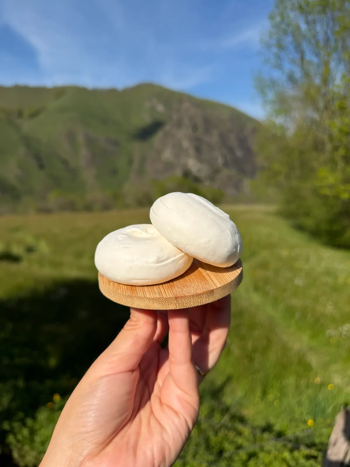 creation thumb for Half sphere meringue shells