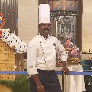 Lokesh Kumar Shanmugam
