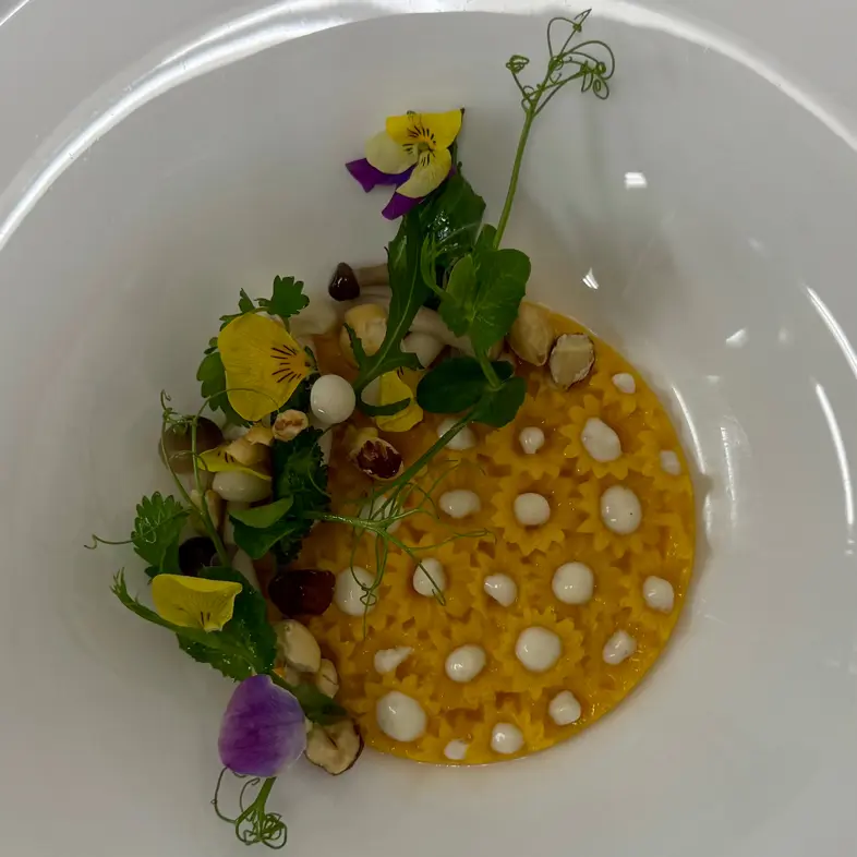 creation thumb for Kürbis Kokos Panna Cotta | eingelegte Buchenpilze | Haselnus