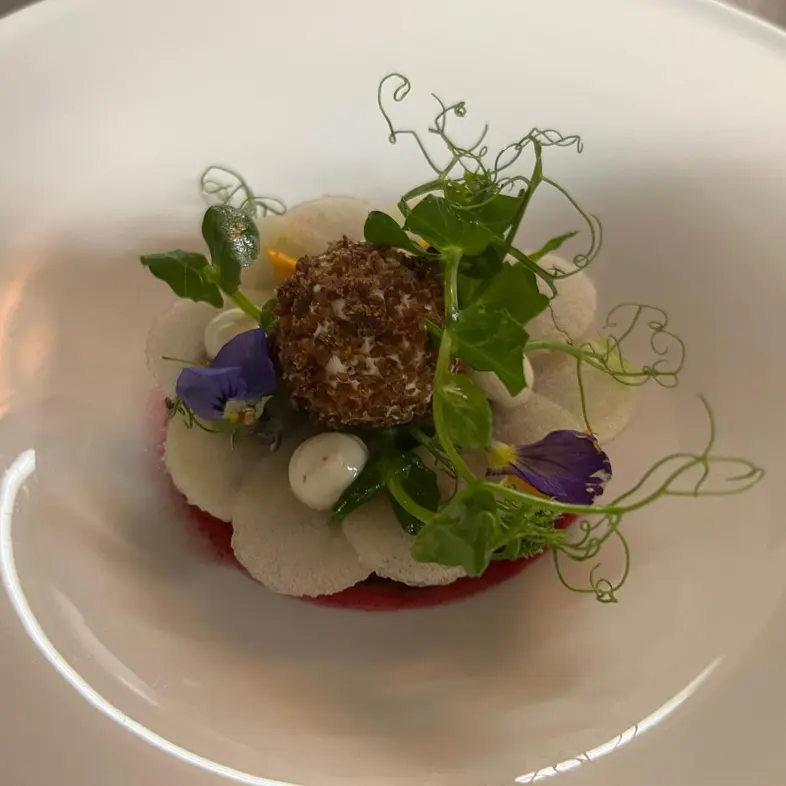creation thumb for Rote Rüben Tatar | Labneh | Granny Smith | Haselnuss
