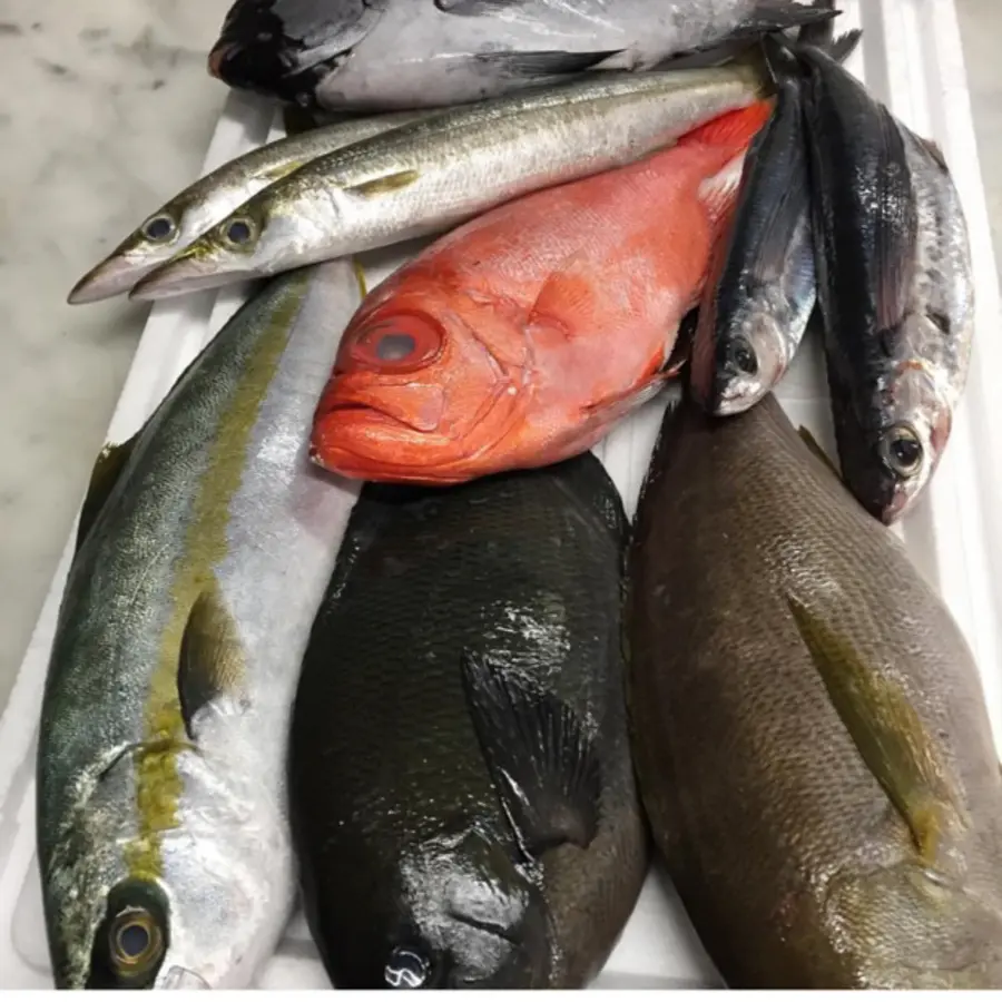 creation thumb for fresh fish