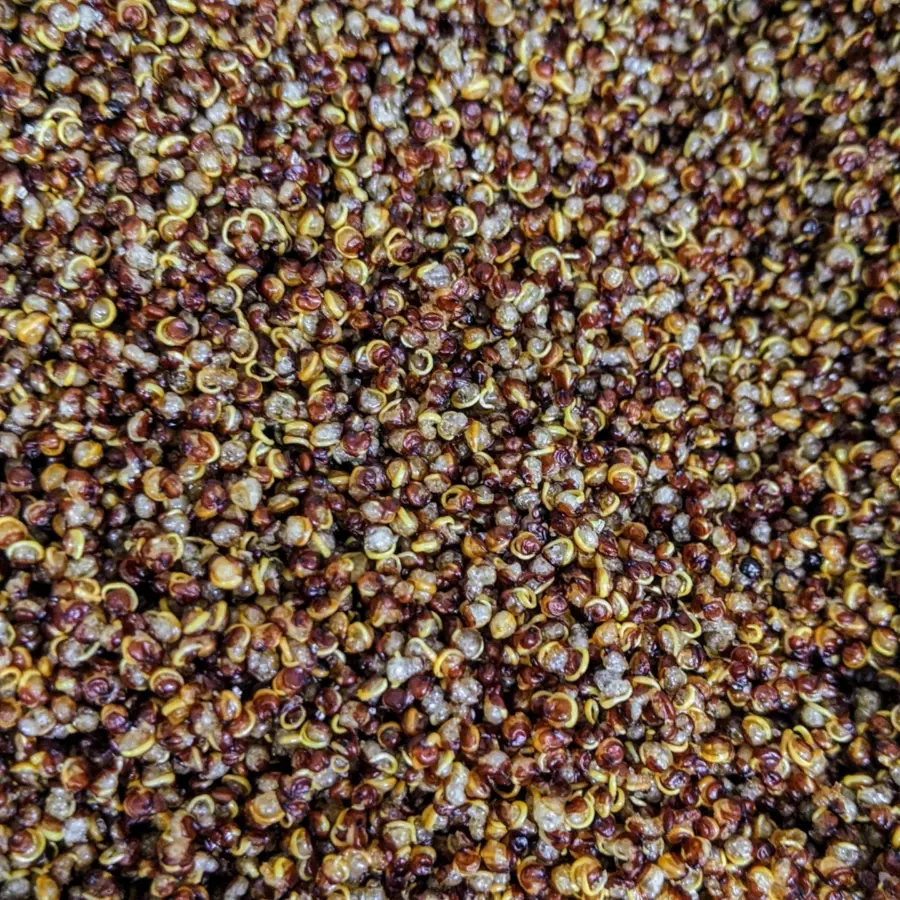creation thumb for Quinoa puff