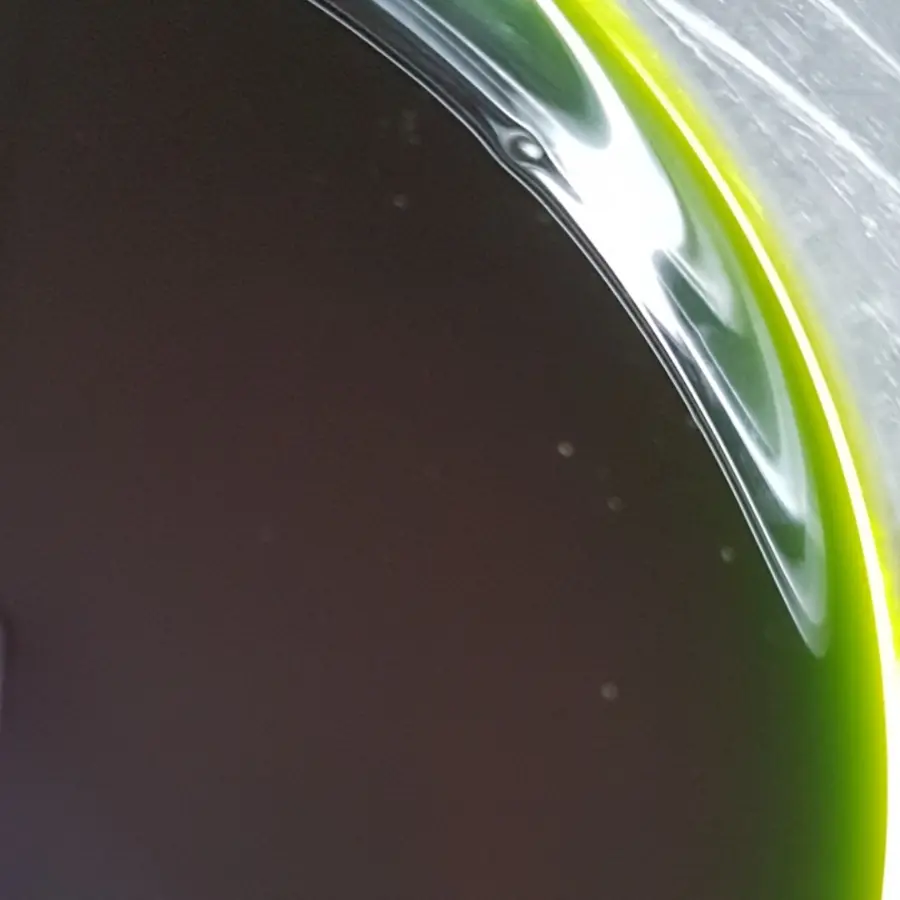 creation thumb for Olio  all'aneto