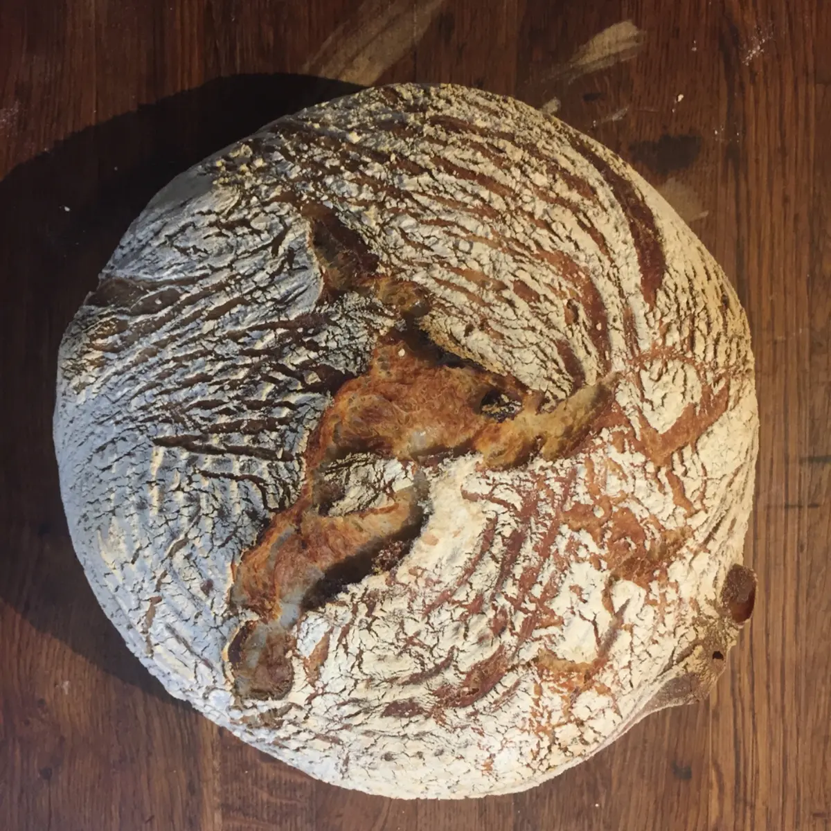 creation thumb for No knead sourdough bread