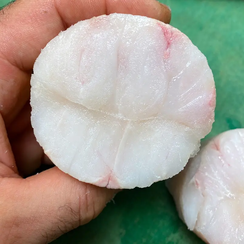 creation thumb for Sous Vide Hake Low Temperature Fish