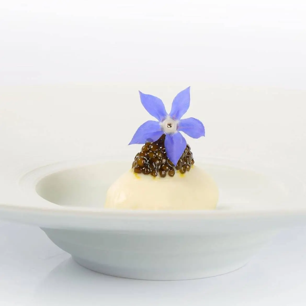 creation thumb for Coconut Ice Cream | Caviar | Olive Oil