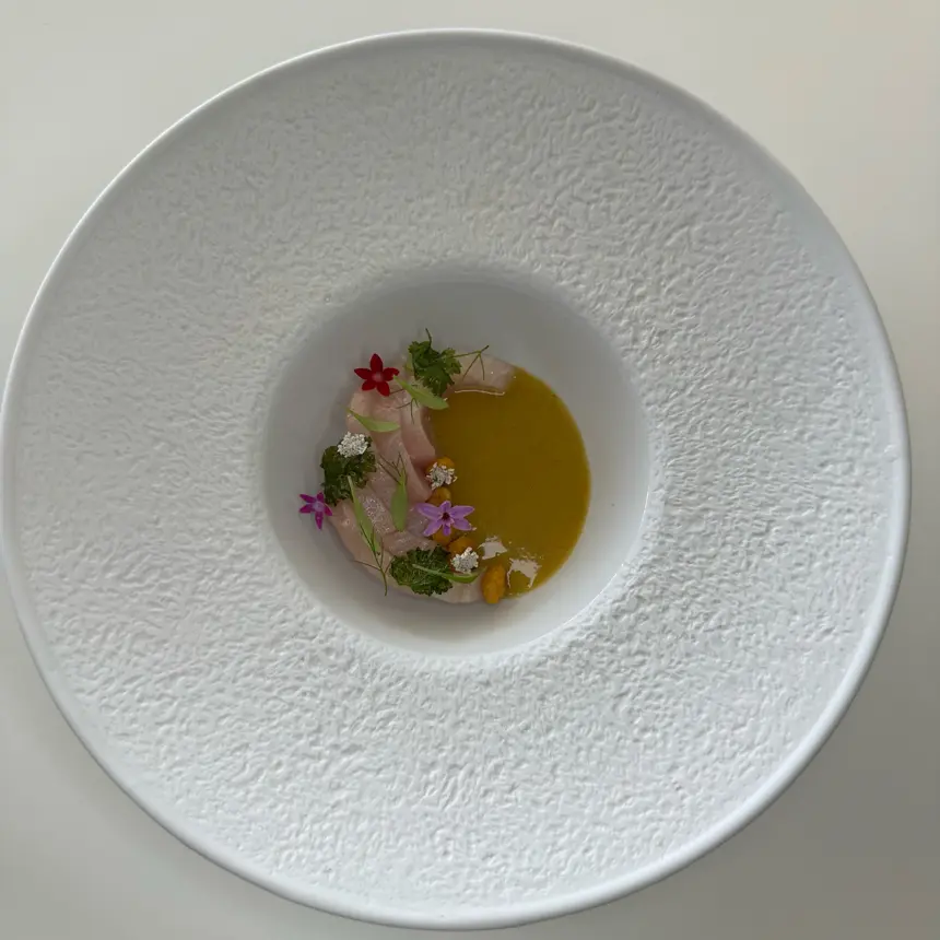 creation thumb for Kingfish ceviche & peach leche de tigre