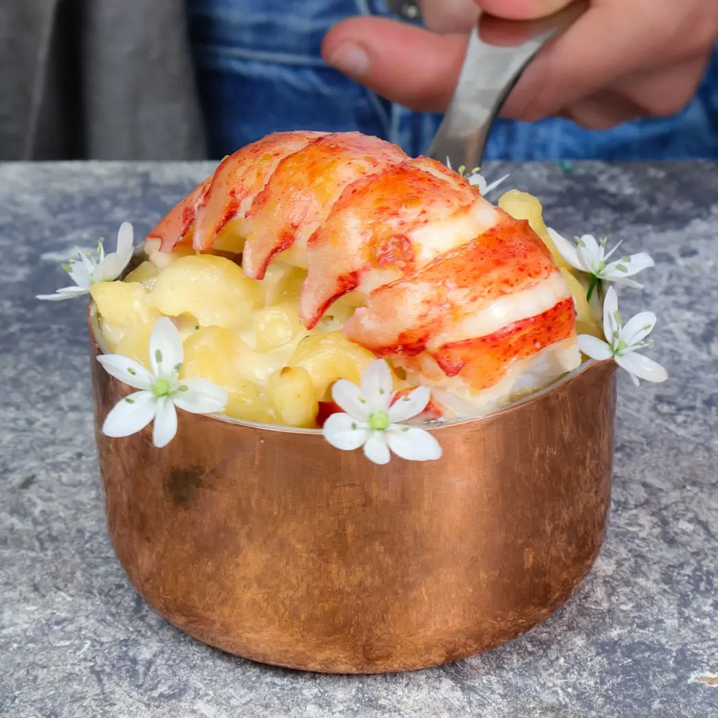 creation thumb for Lobster Mac & Cheese