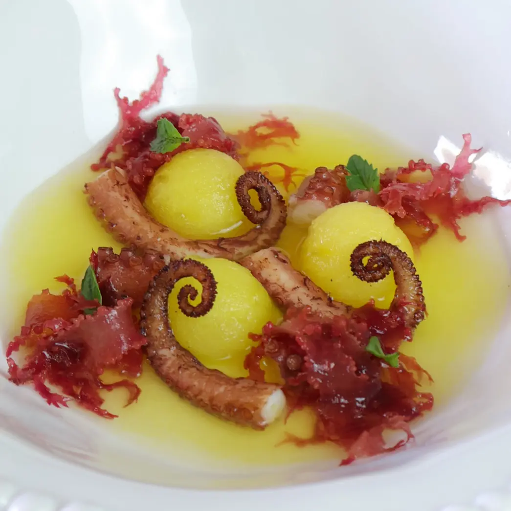 creation thumb for Yellow Watermelon Chilled Soup with Octopus and Pisco